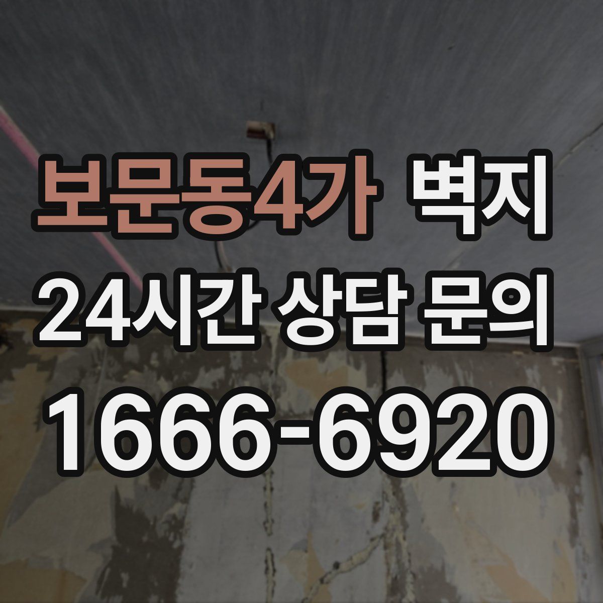 보문동4가 벽지