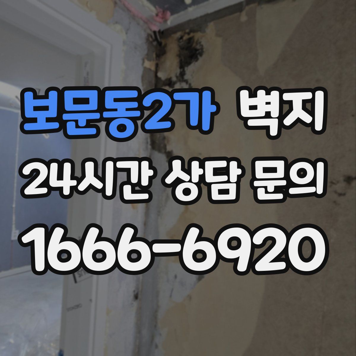 보문동2가 벽지