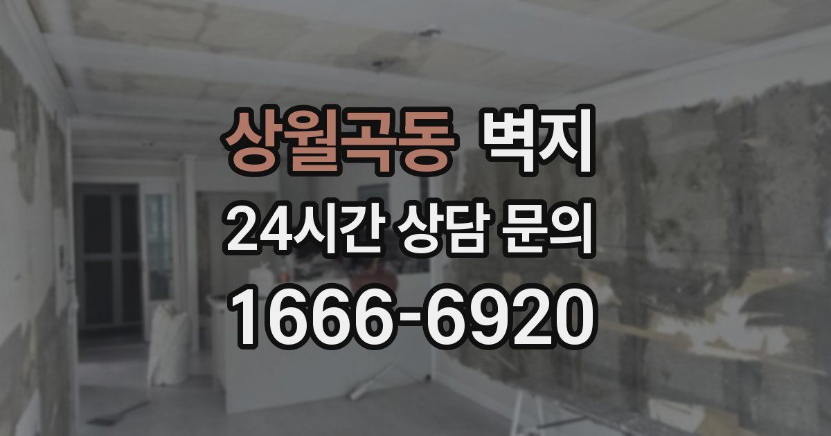 상월곡동 벽지