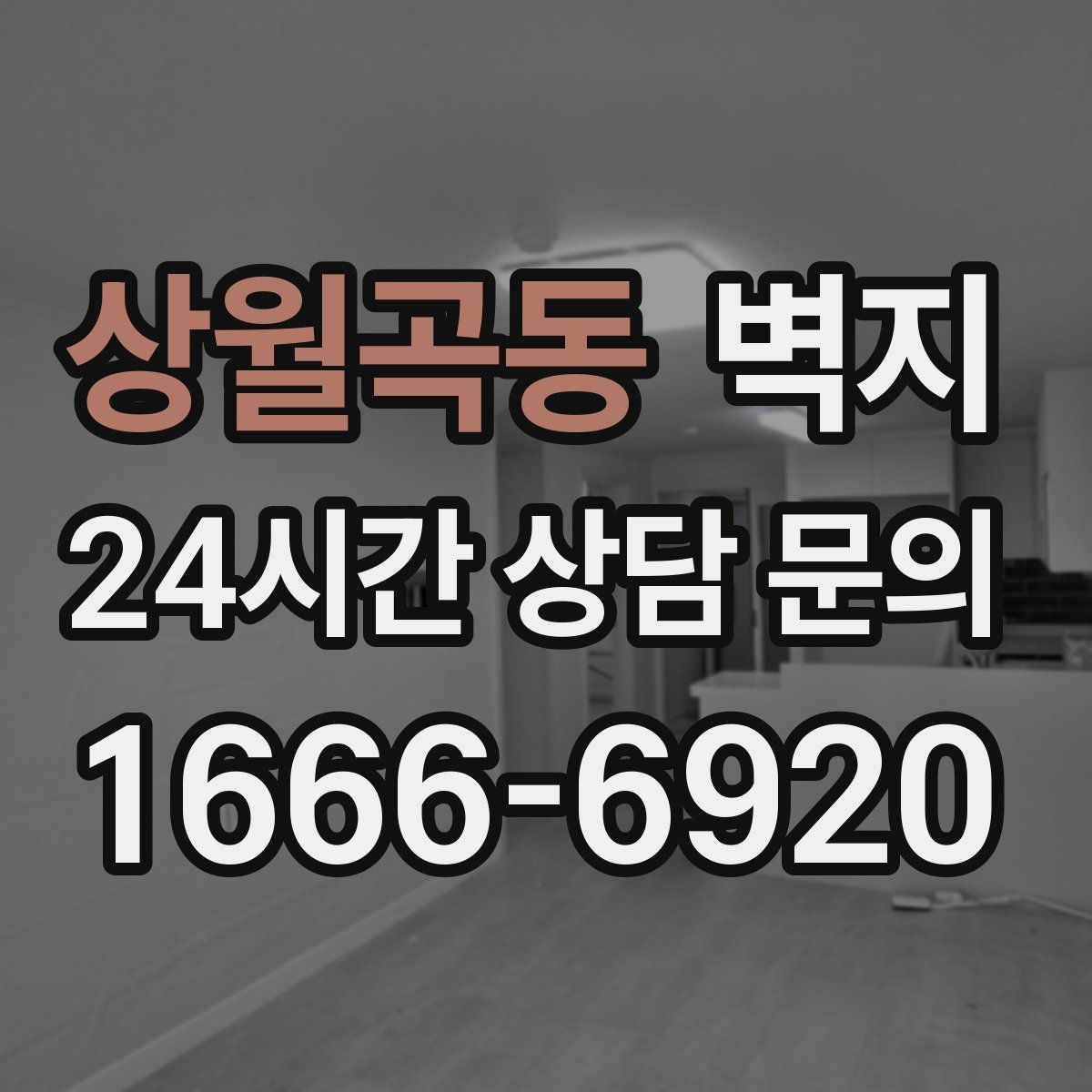 상월곡동 벽지