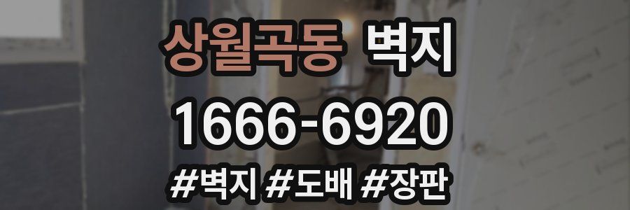 상월곡동 벽지