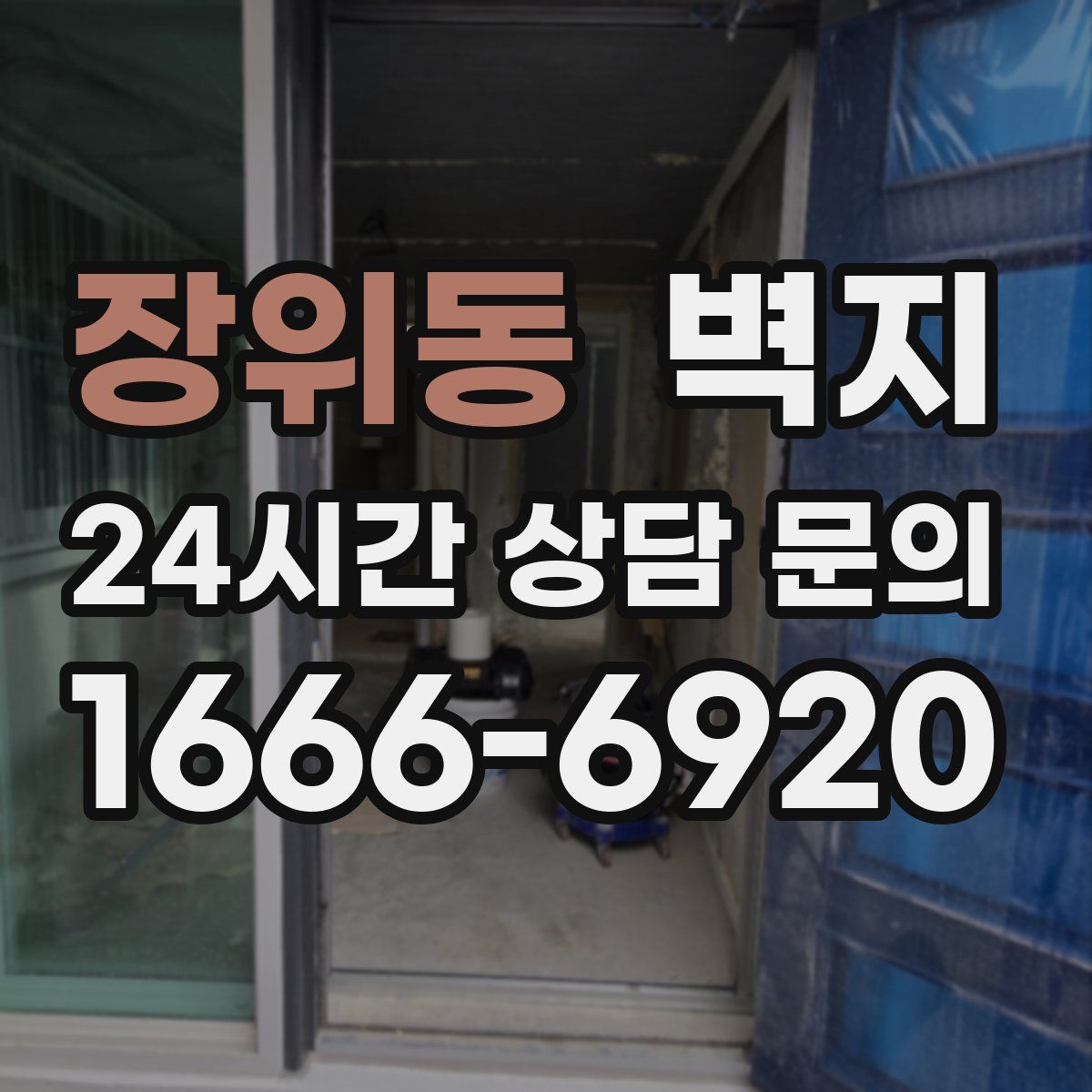 장위동 벽지