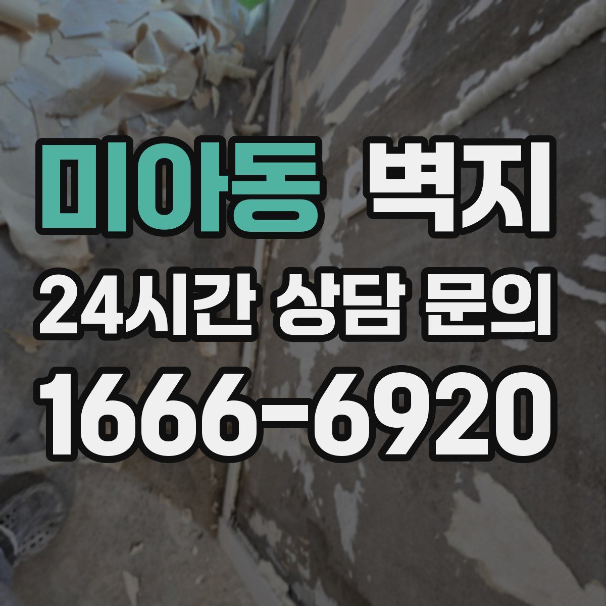 미아동 벽지