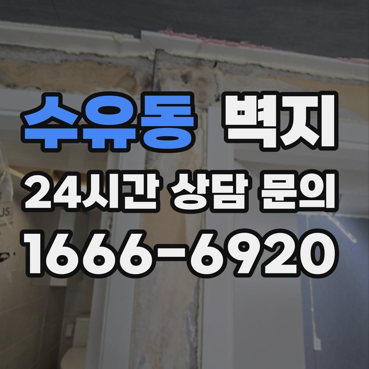 수유동 벽지