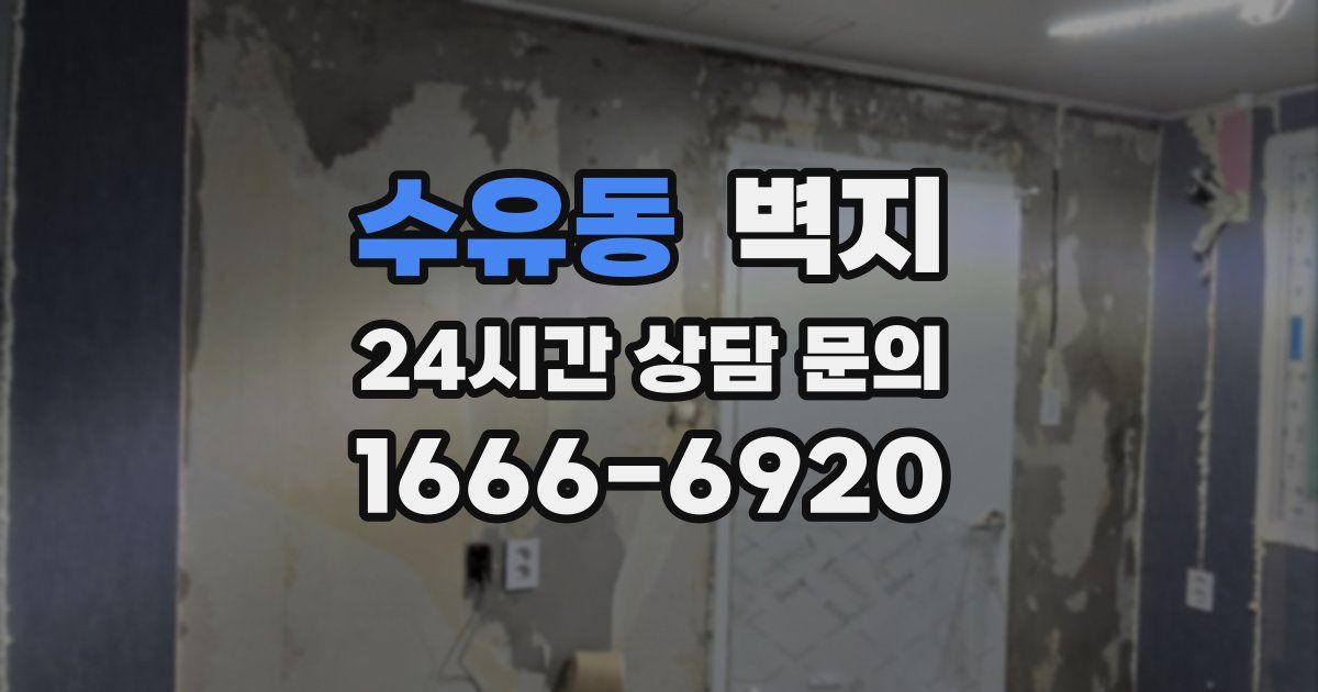 수유동 벽지