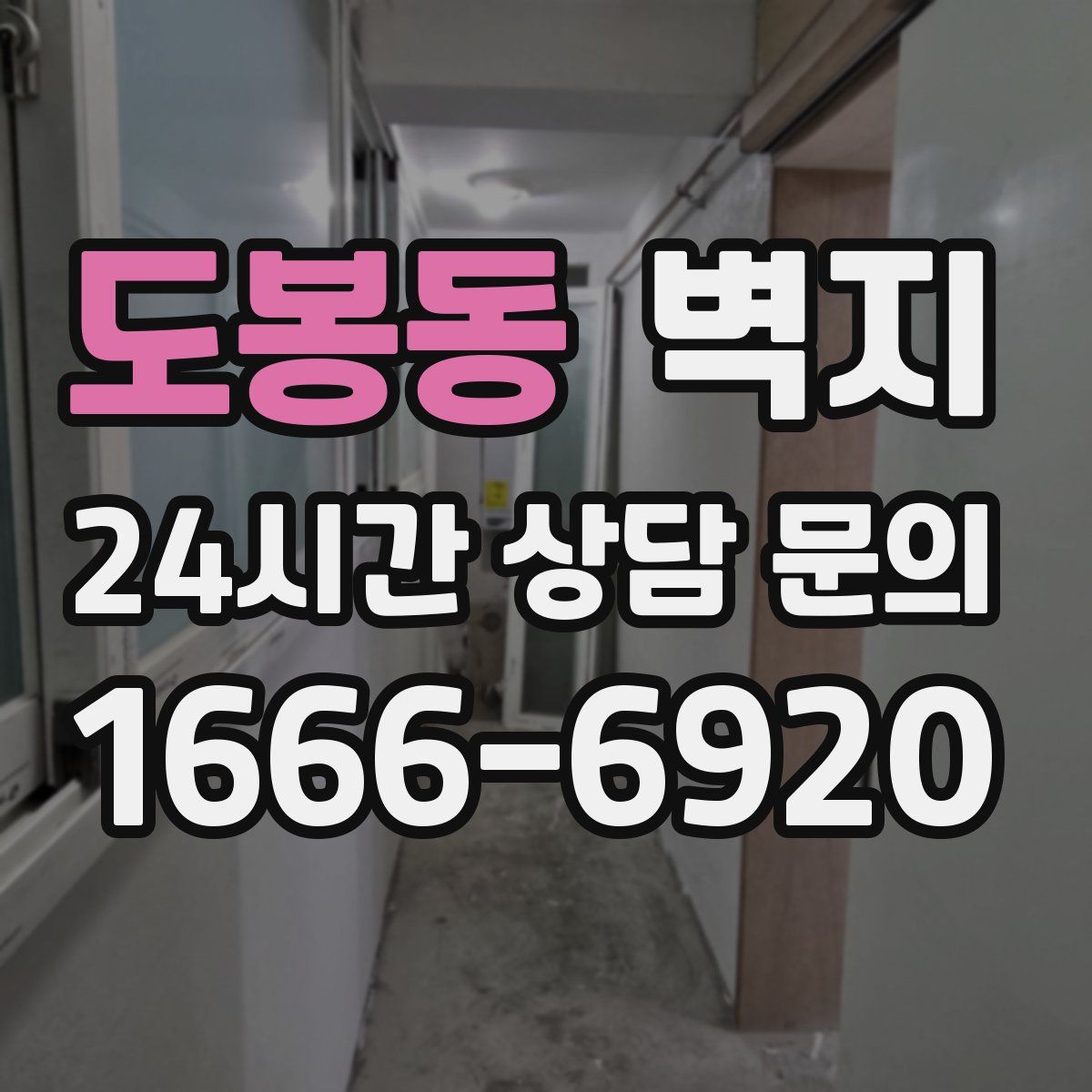 도봉동 벽지