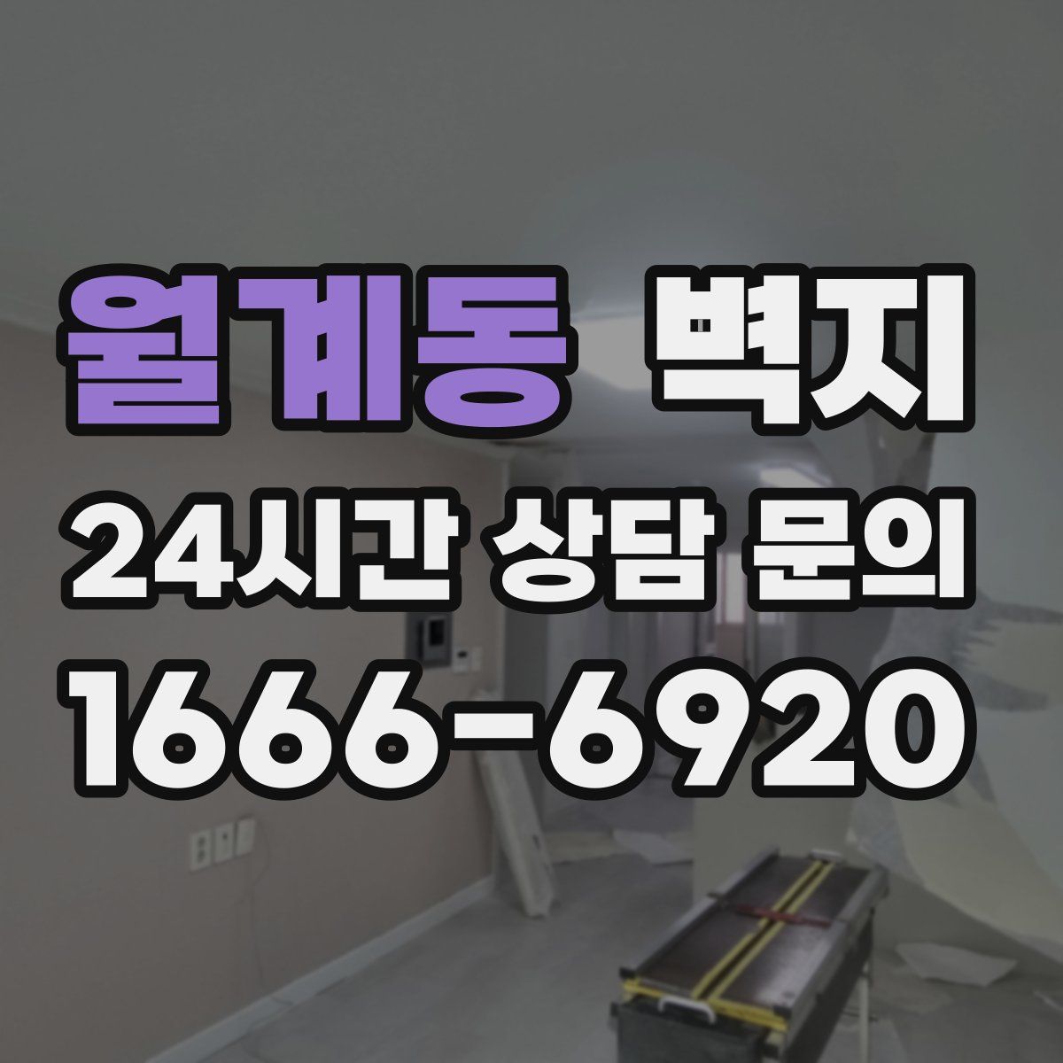 월계동 벽지