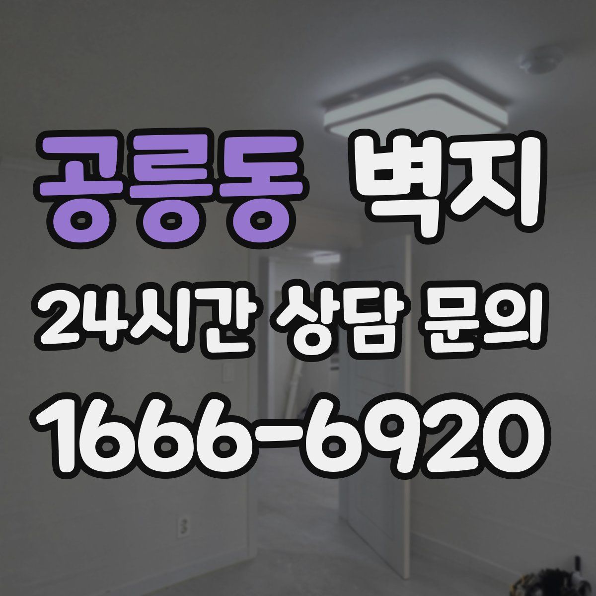 공릉동 벽지