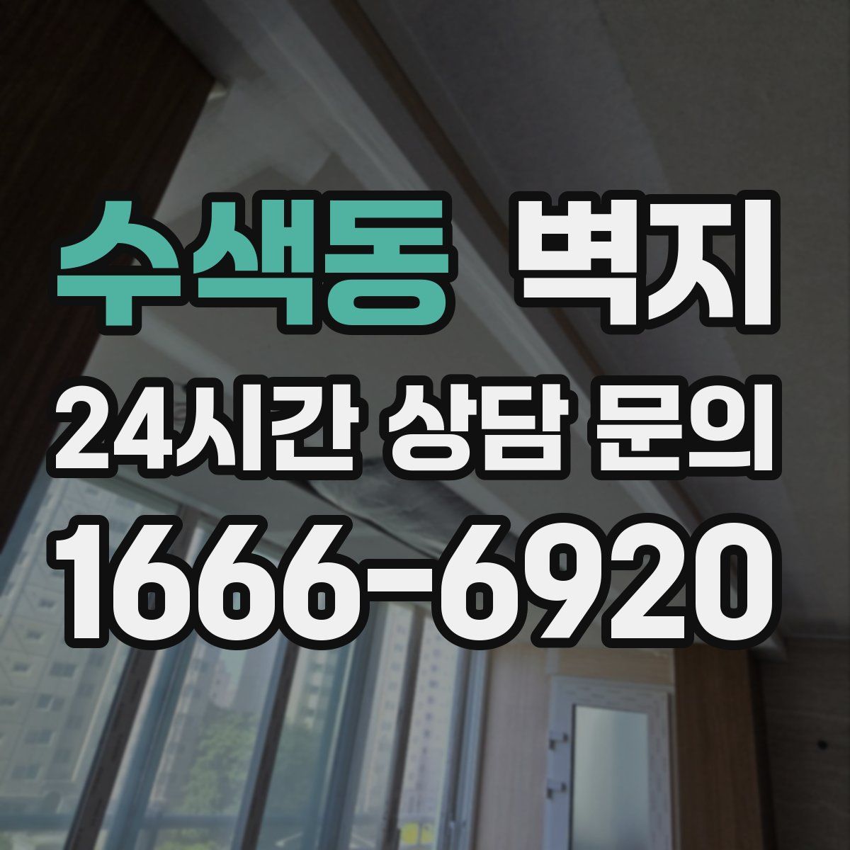 수색동 벽지