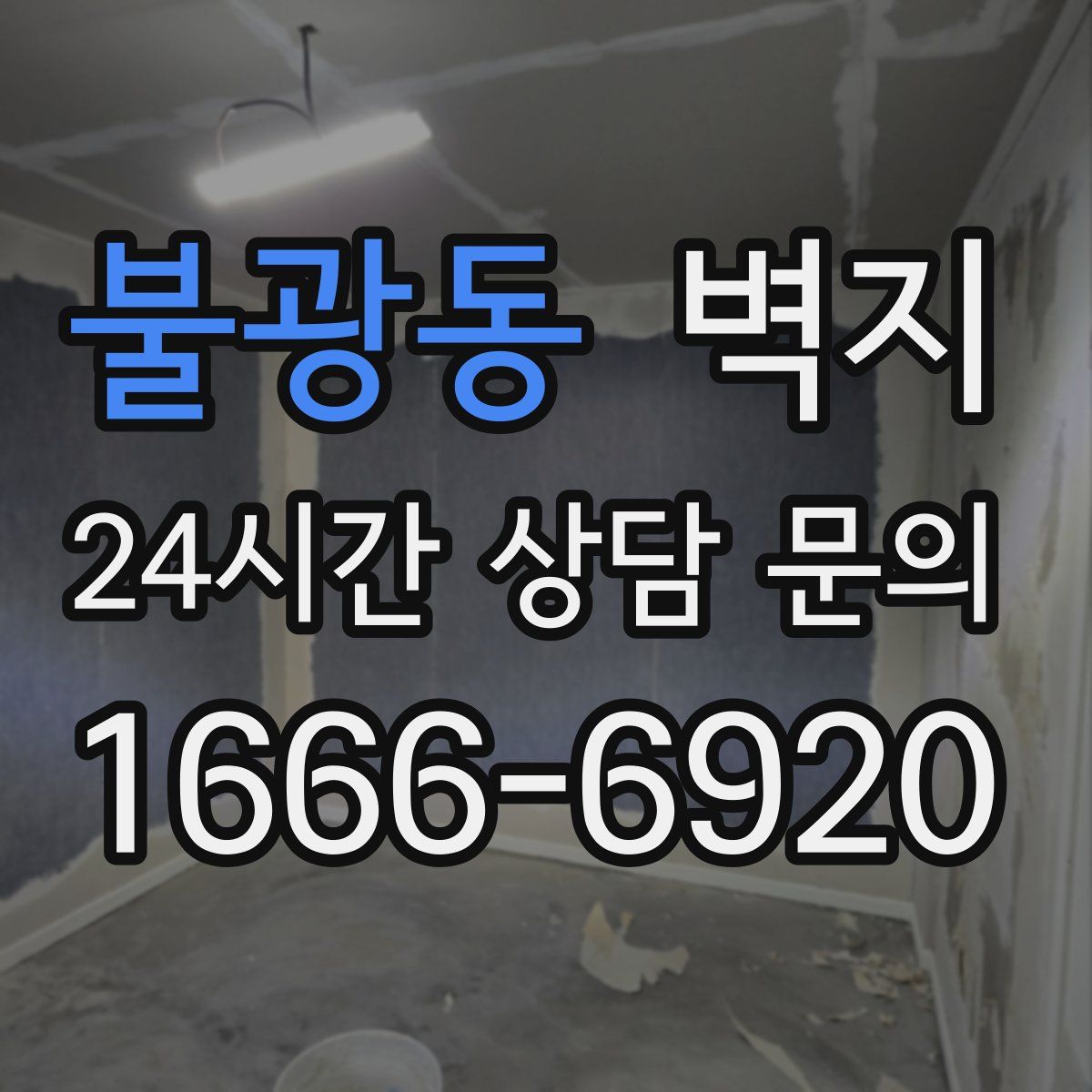 불광동 벽지