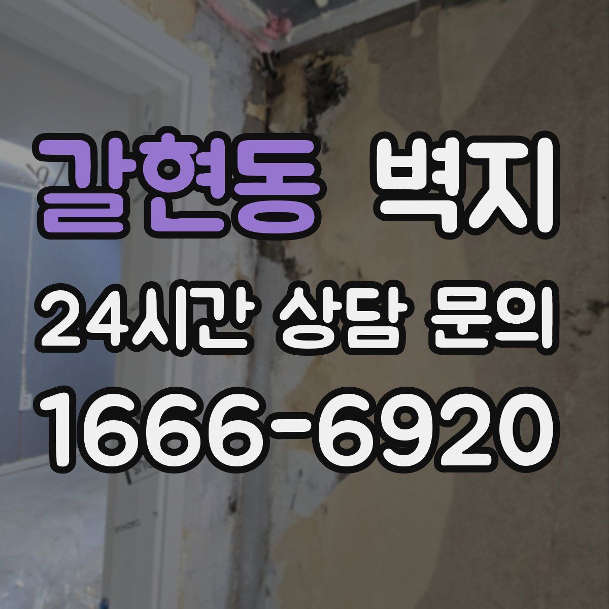 갈현동 벽지