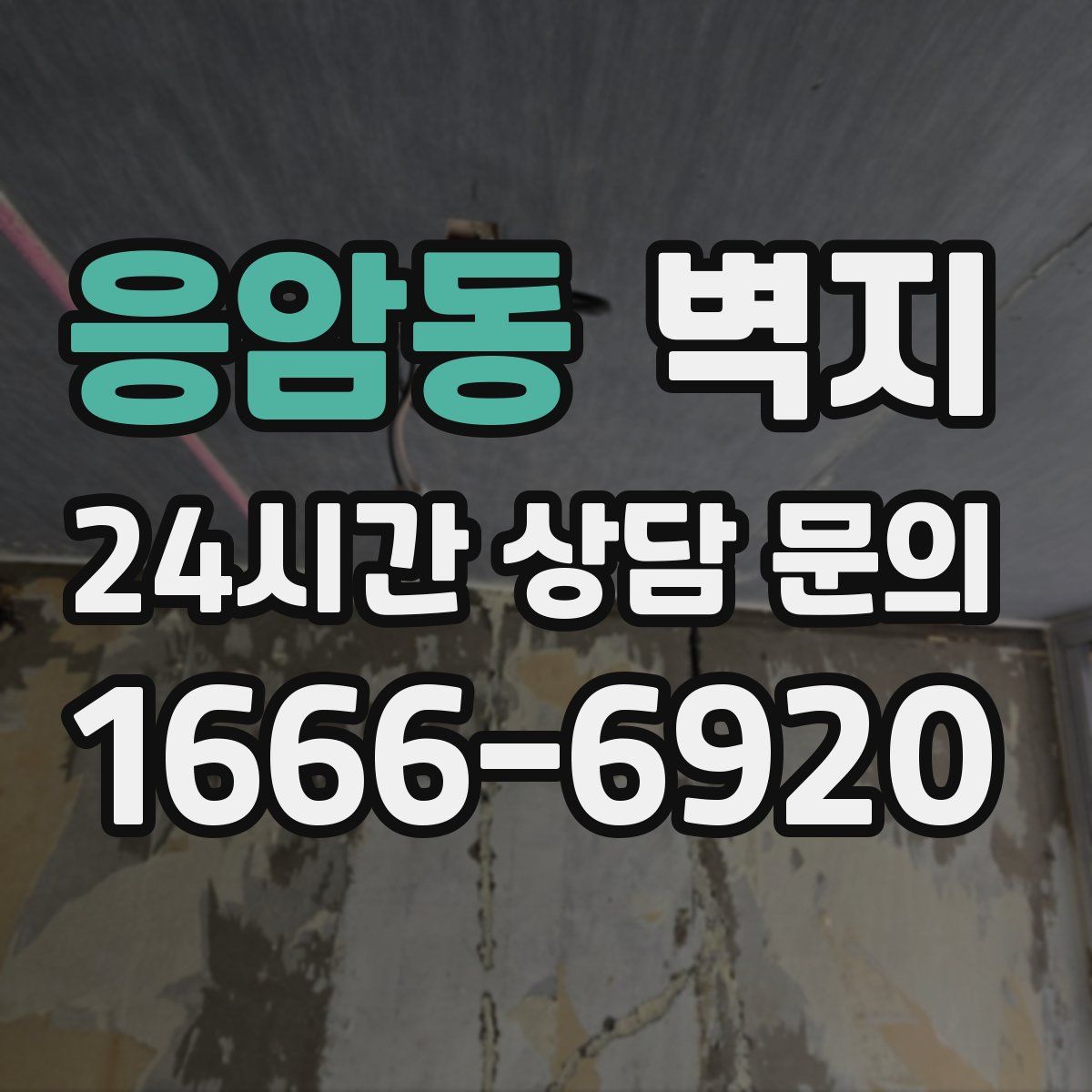 응암동 벽지