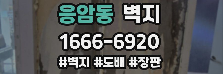 응암동 벽지