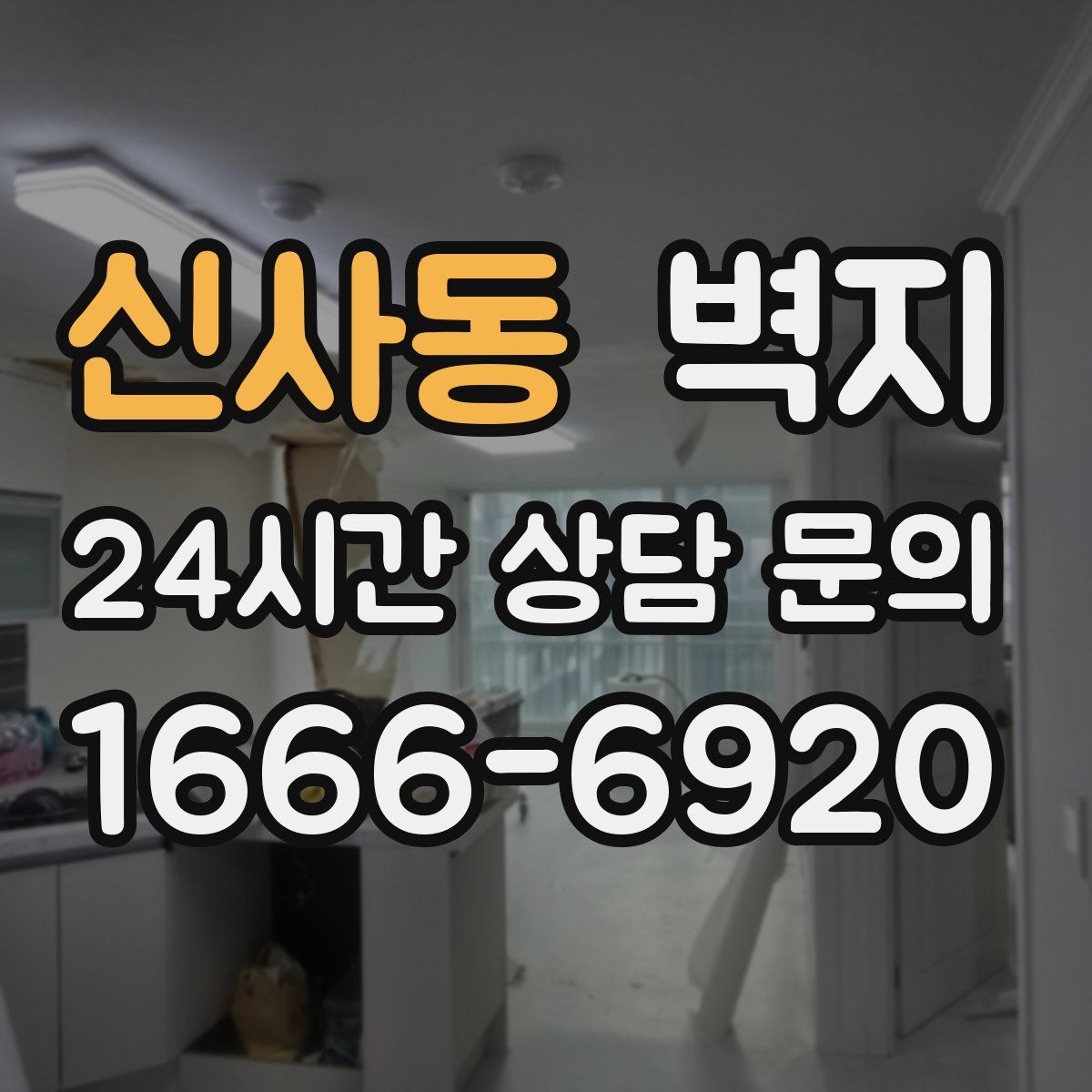 신사동 벽지