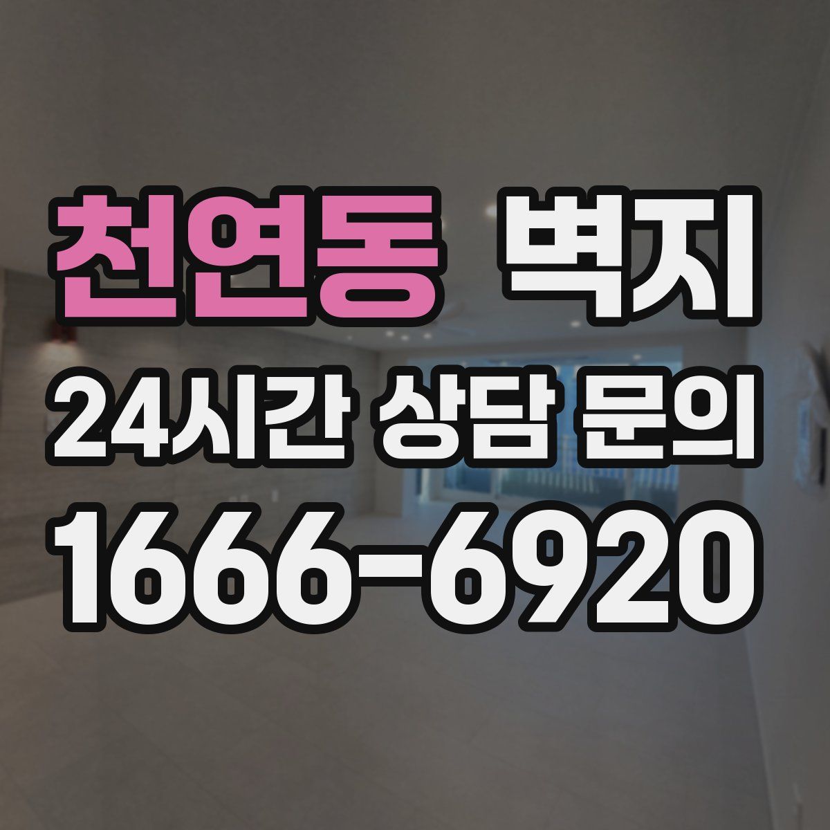 천연동 벽지