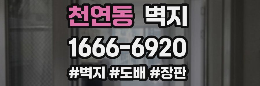 천연동 벽지