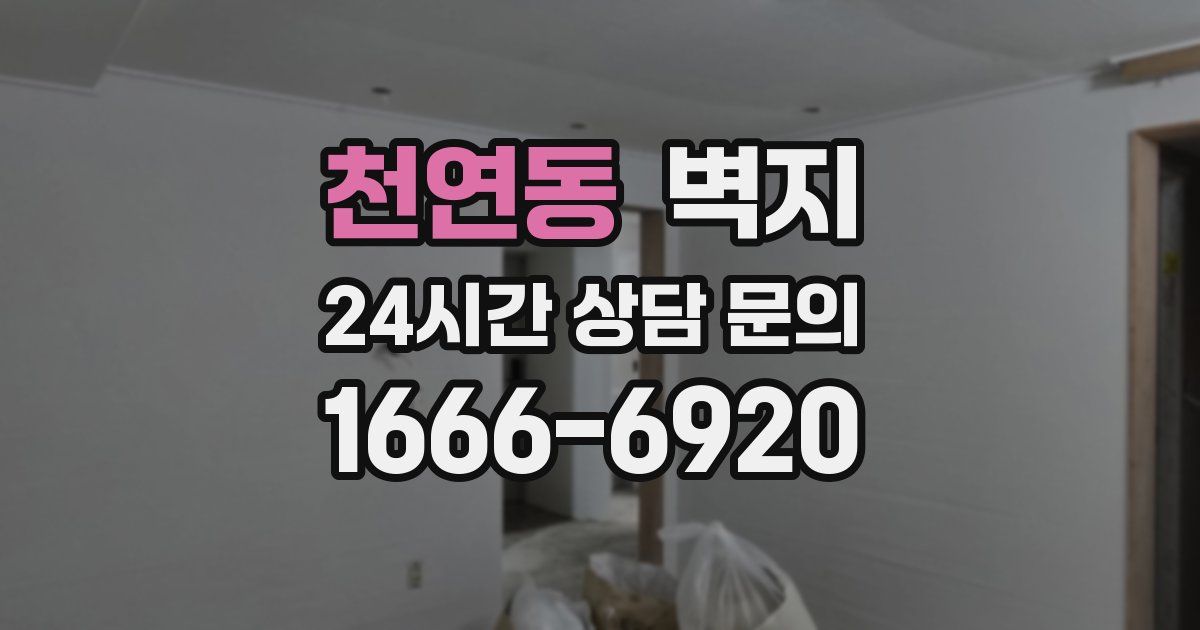 천연동 벽지