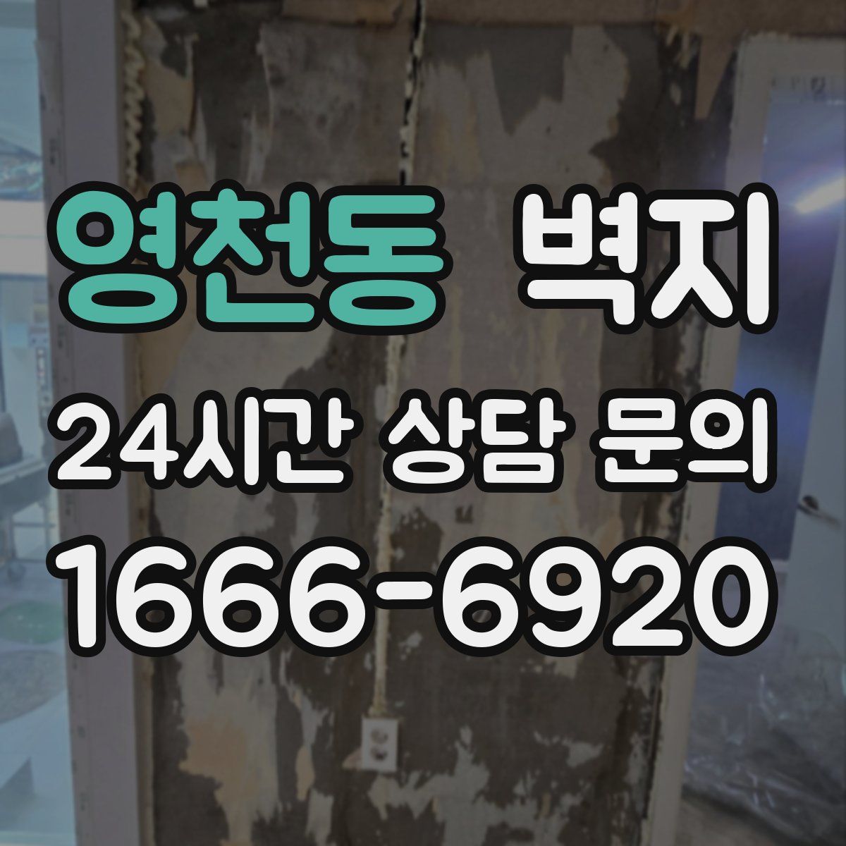 영천동 벽지