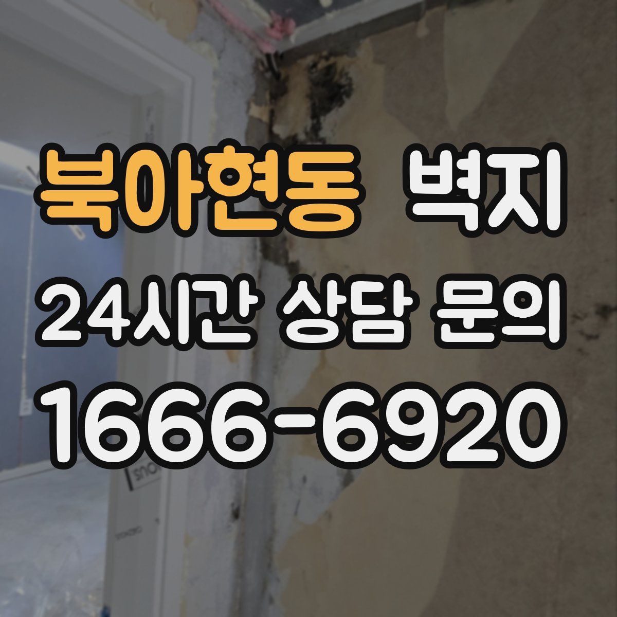 북아현동 벽지