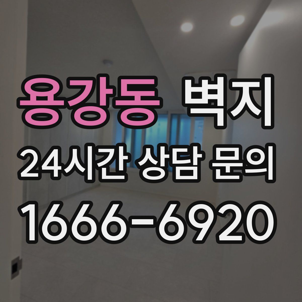 용강동 벽지