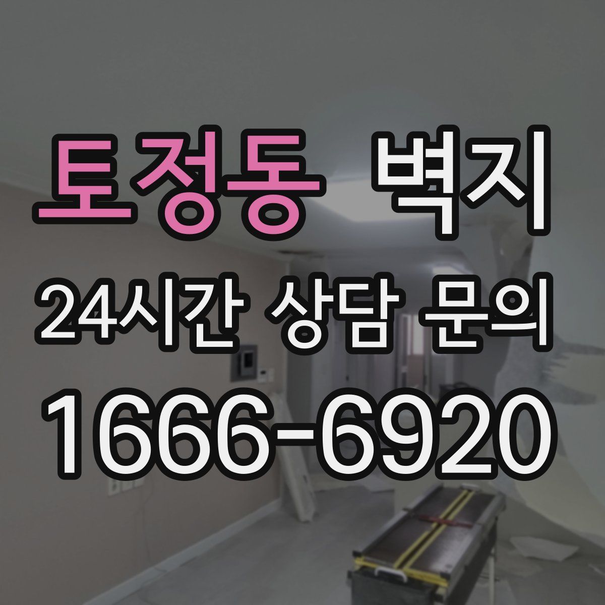 토정동 벽지