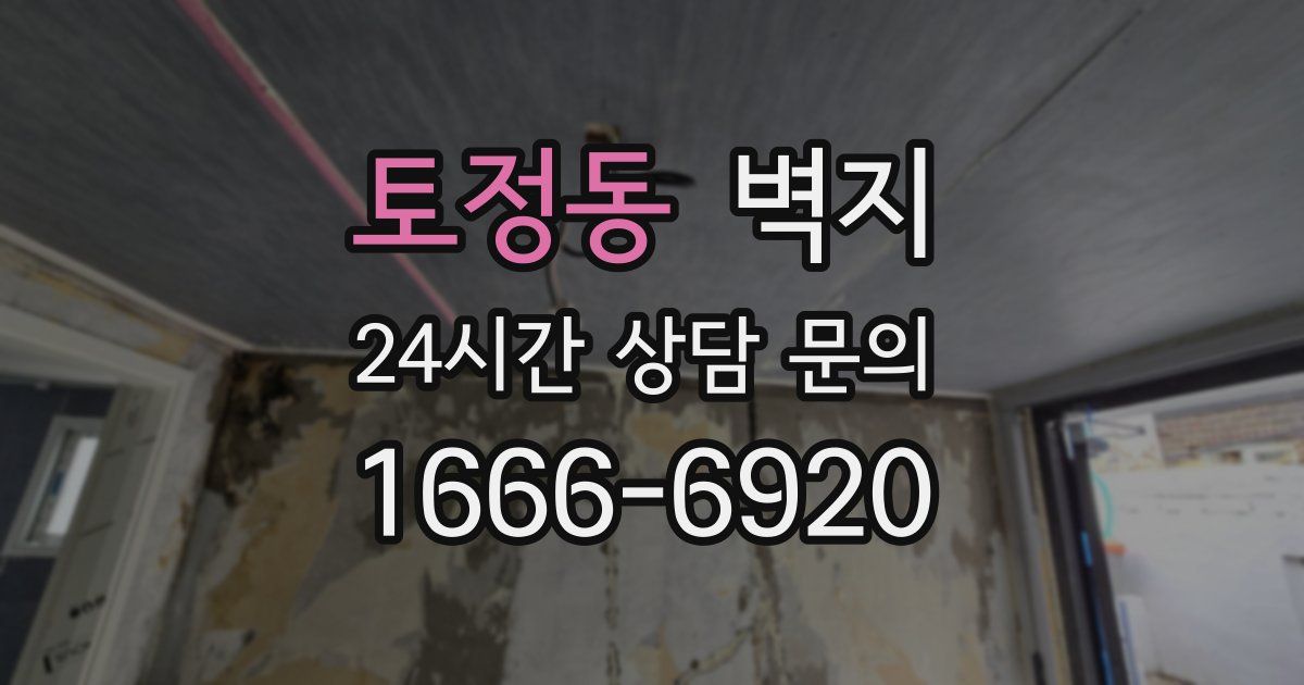 토정동 벽지