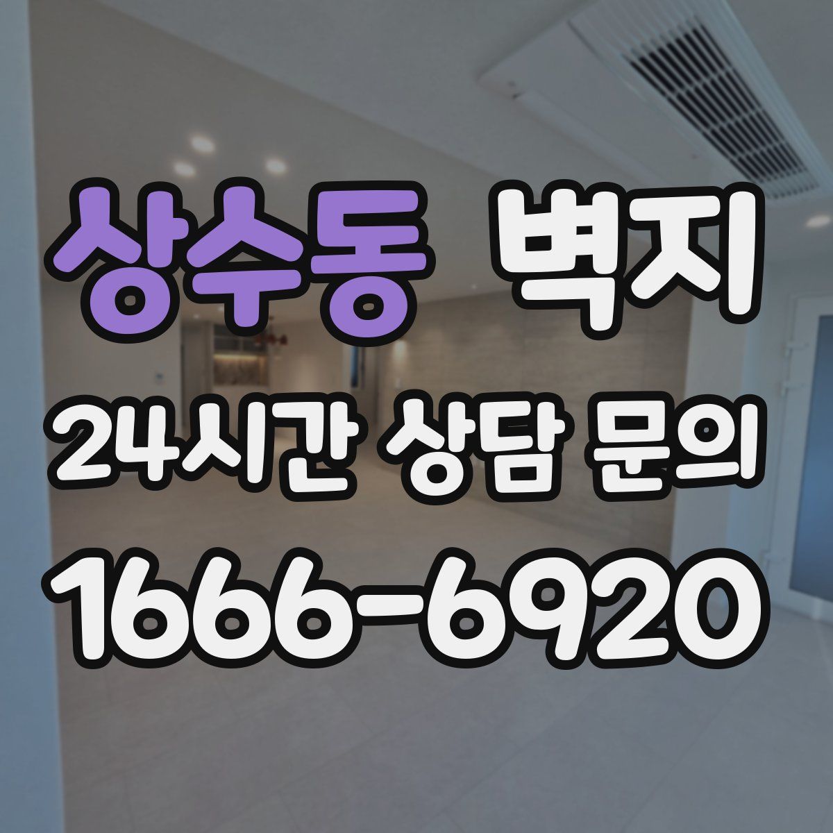 상수동 벽지