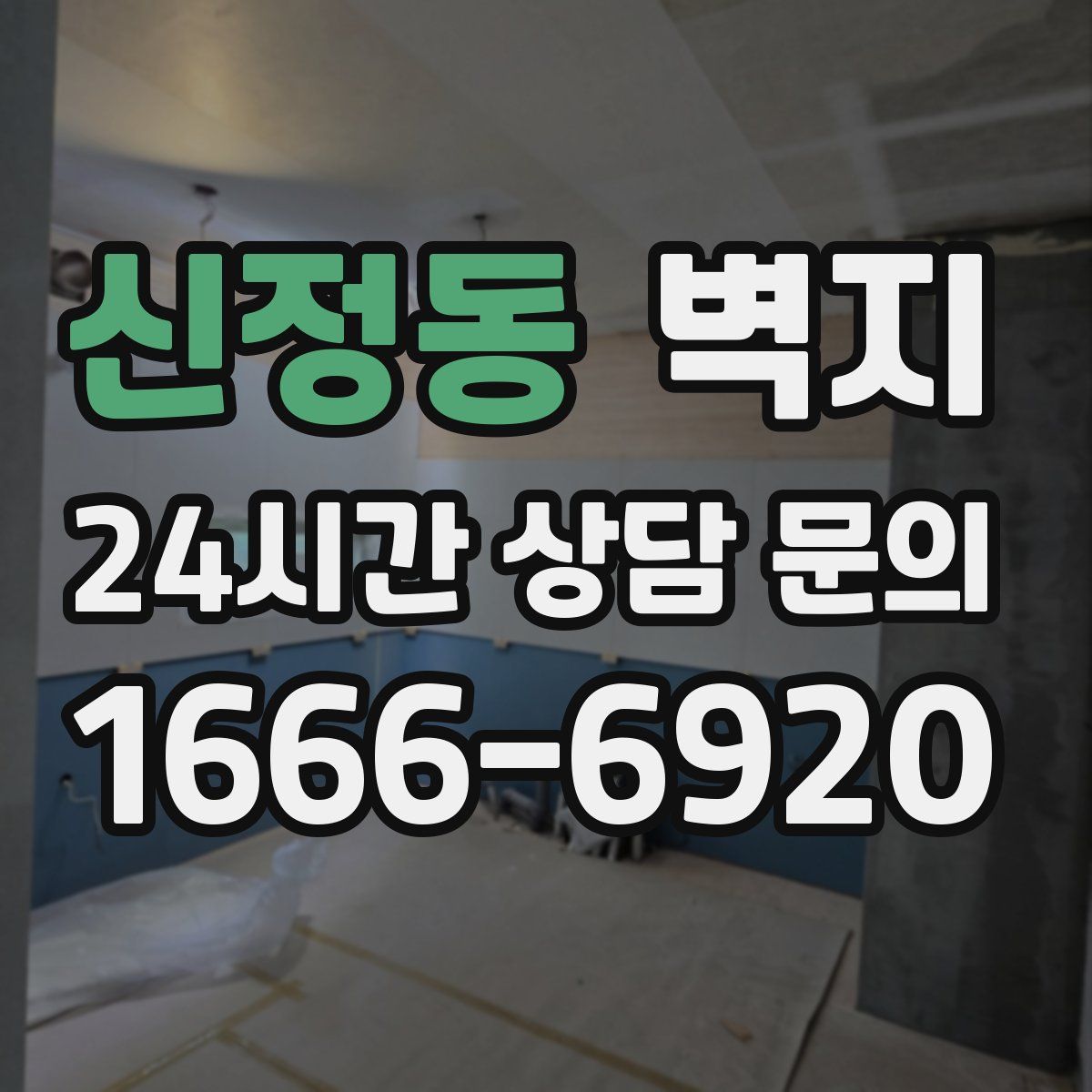 신정동 벽지
