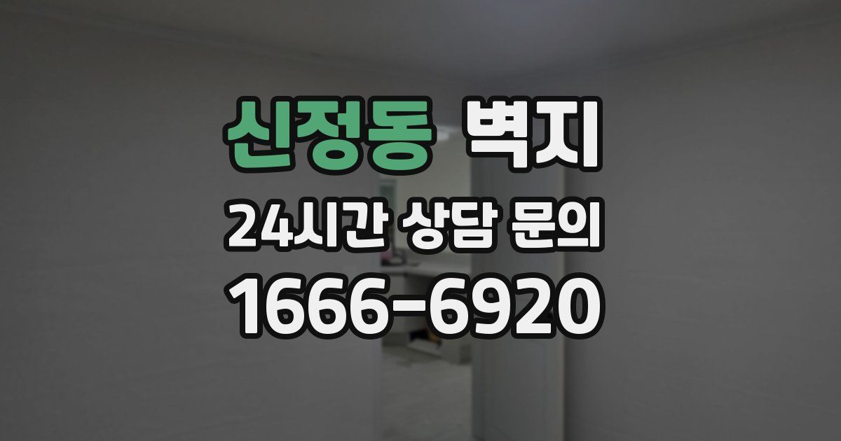 신정동 벽지