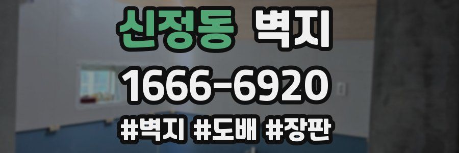 신정동 벽지