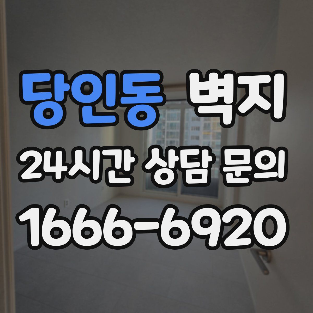 당인동 벽지