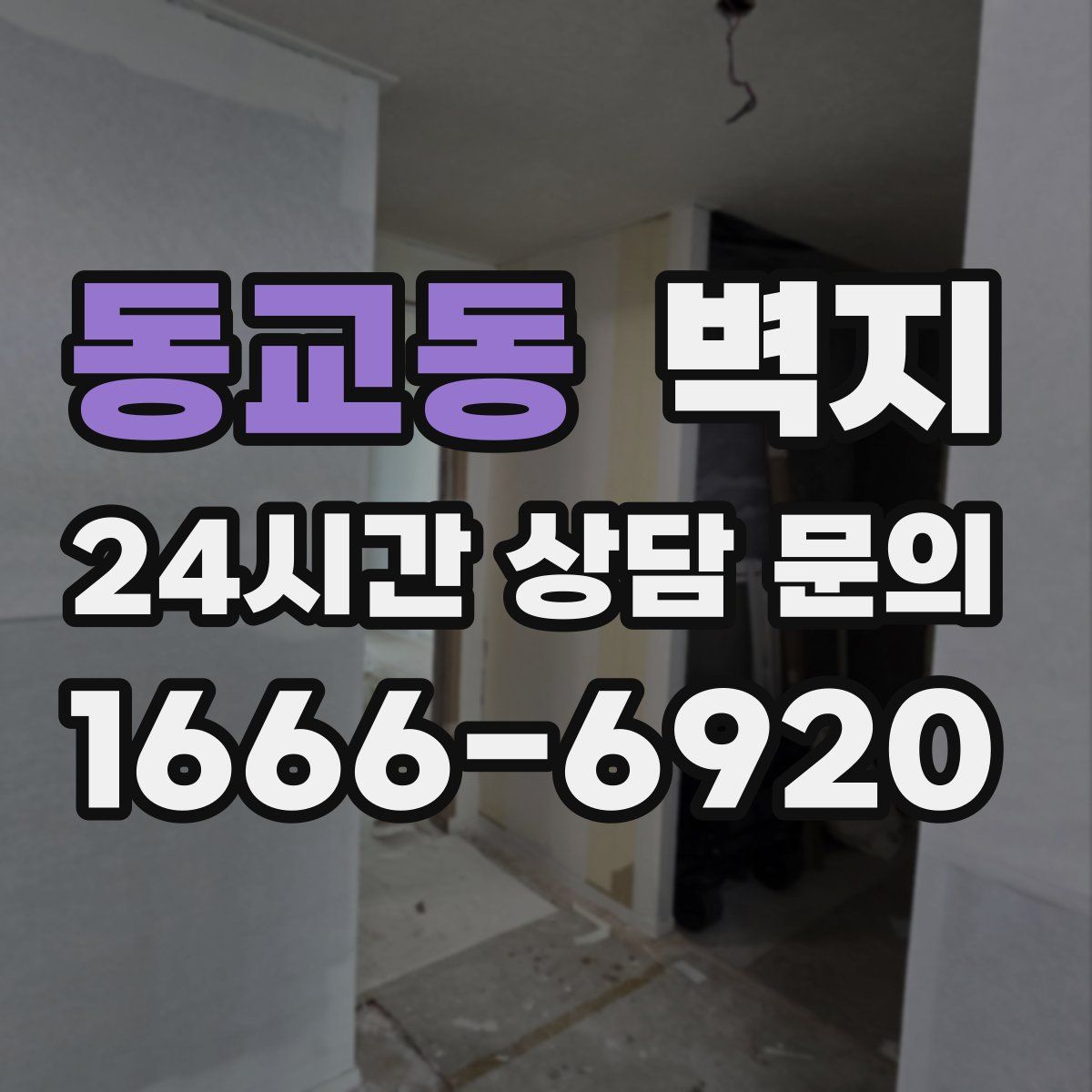 동교동 벽지
