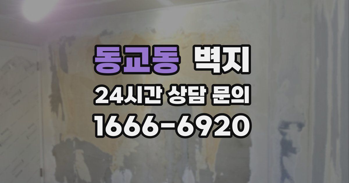 동교동 벽지