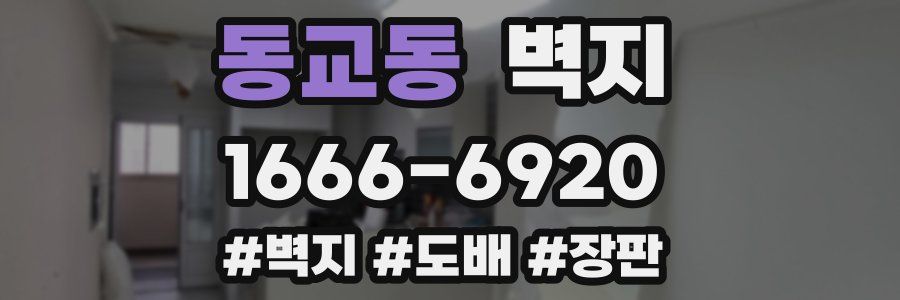 동교동 벽지
