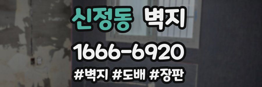 신정동 벽지