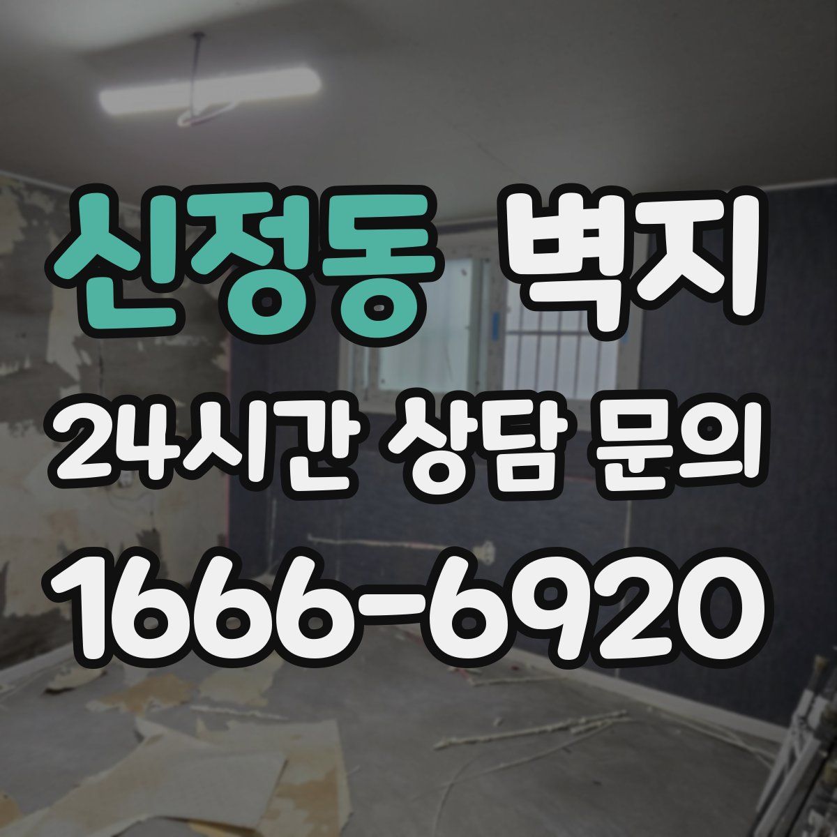 신정동 벽지