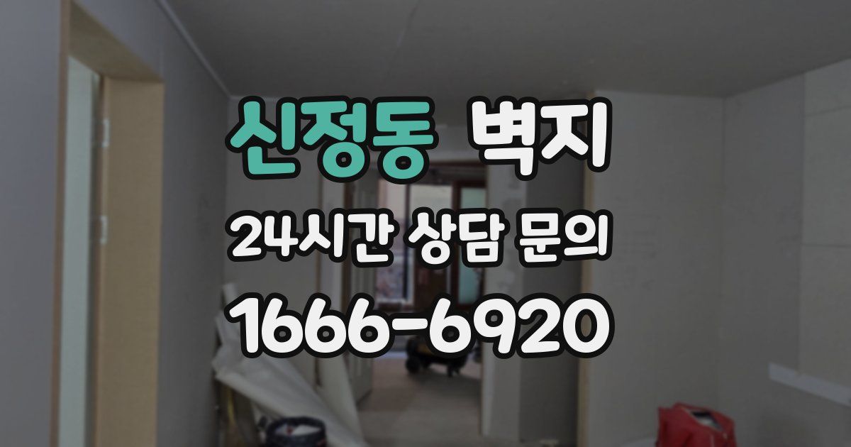 신정동 벽지