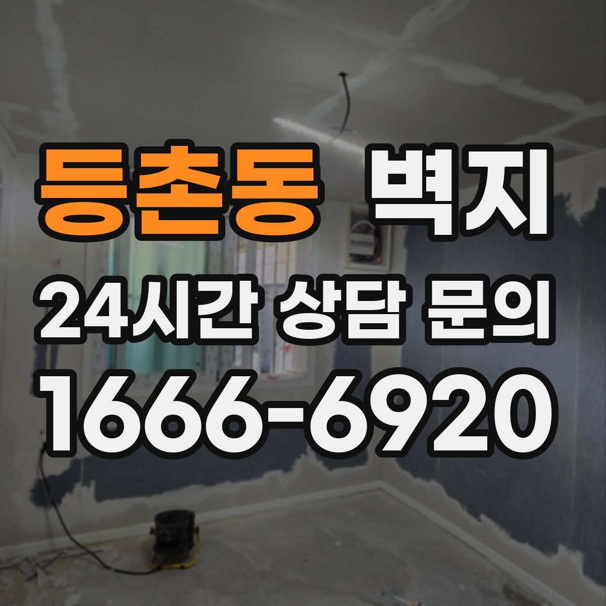 등촌동 벽지