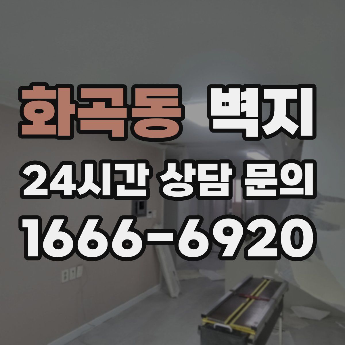 화곡동 벽지