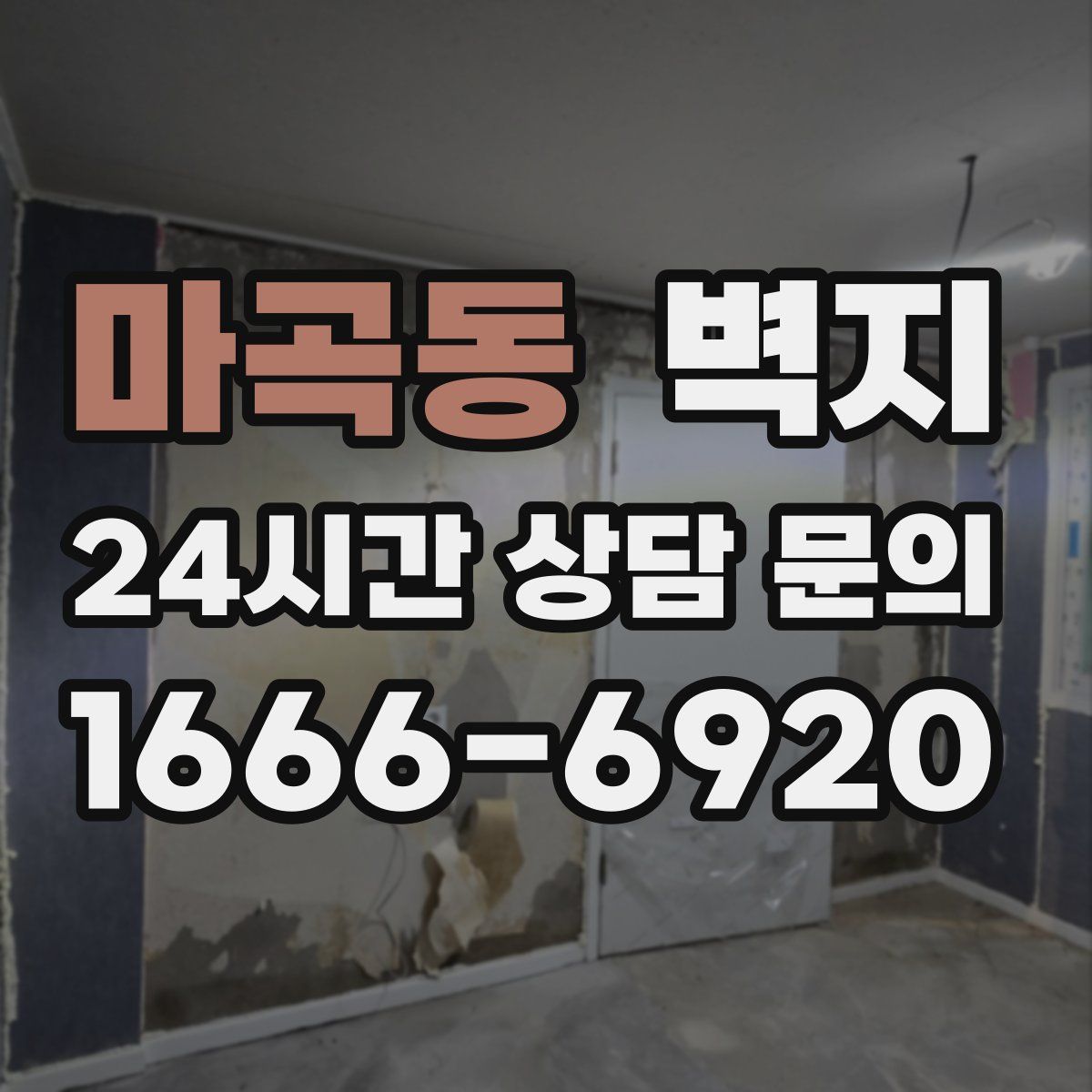 마곡동 벽지