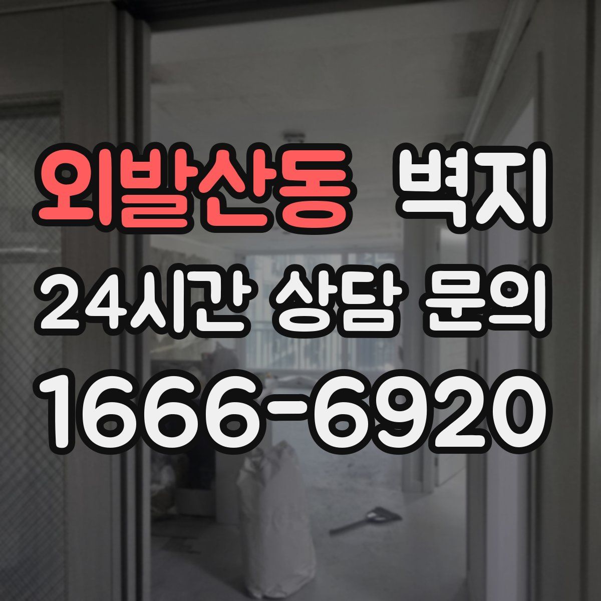 외발산동 벽지