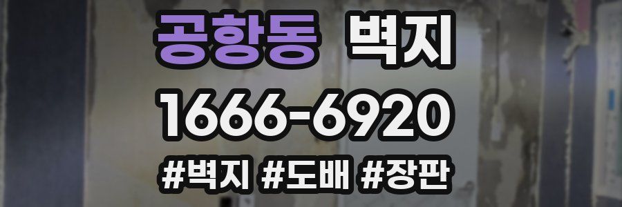 공항동 벽지