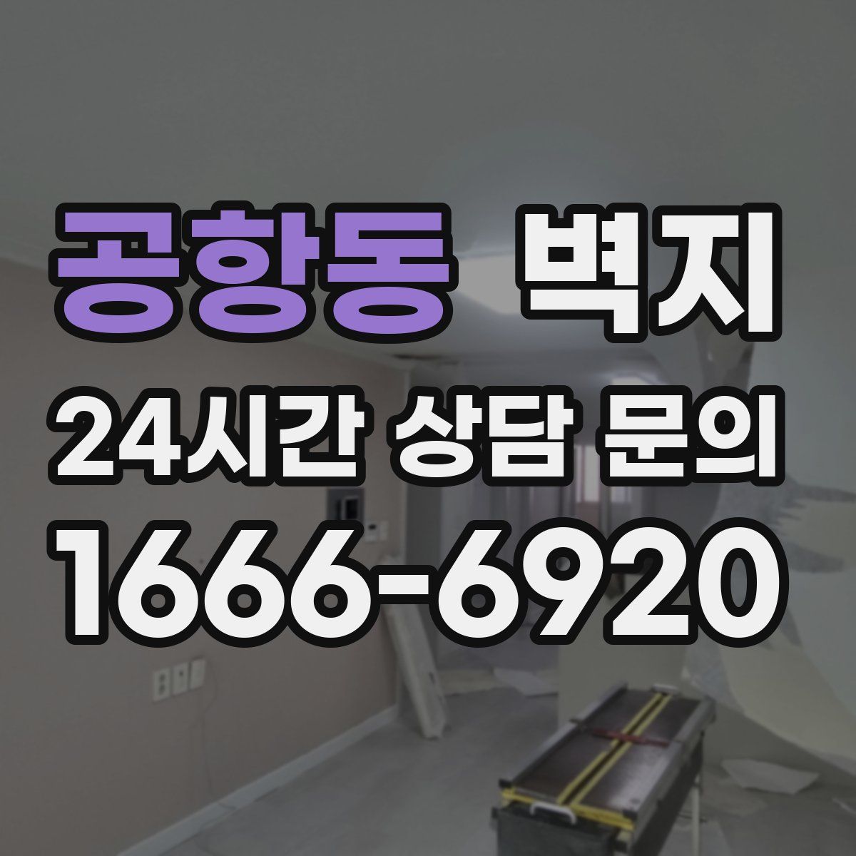 공항동 벽지