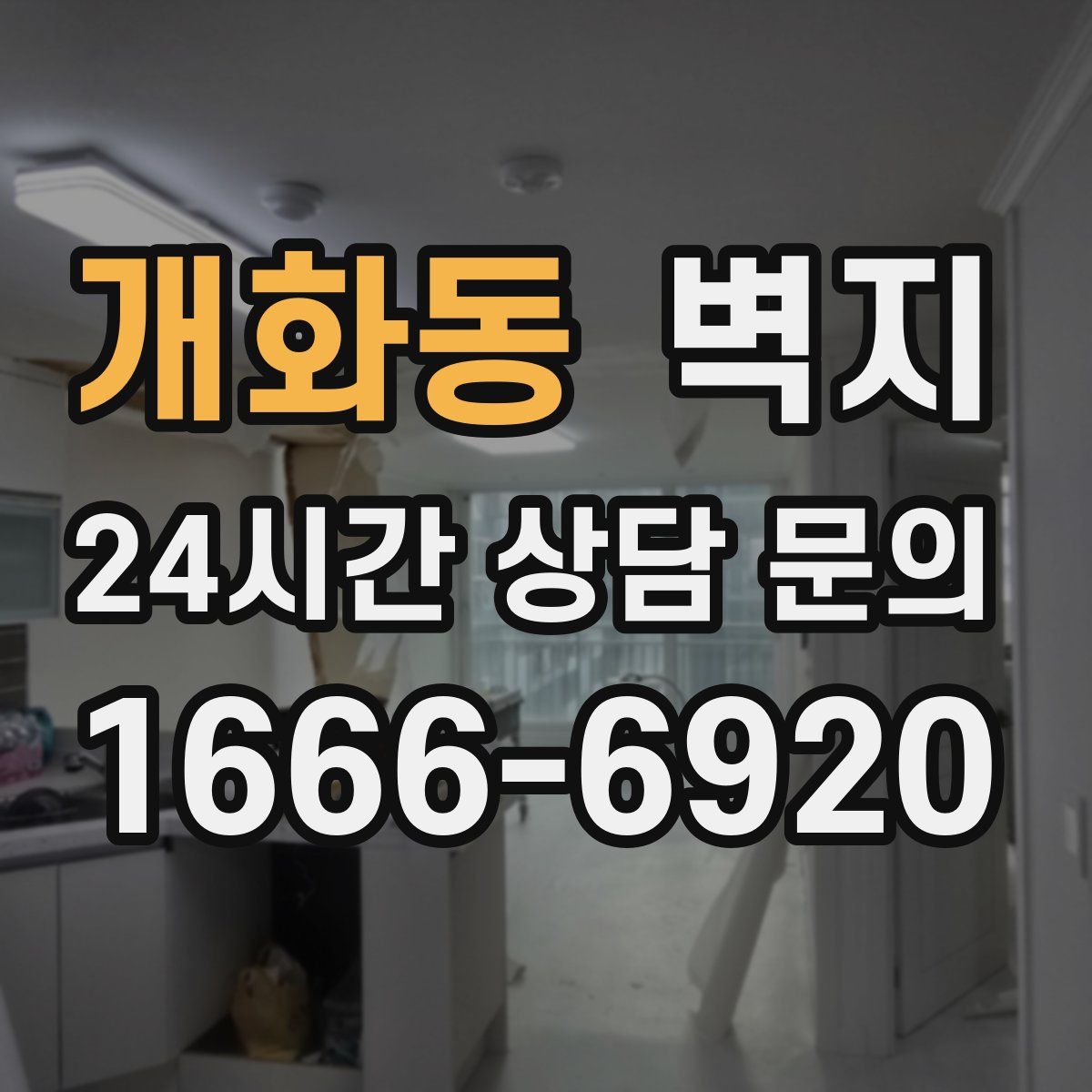 개화동 벽지