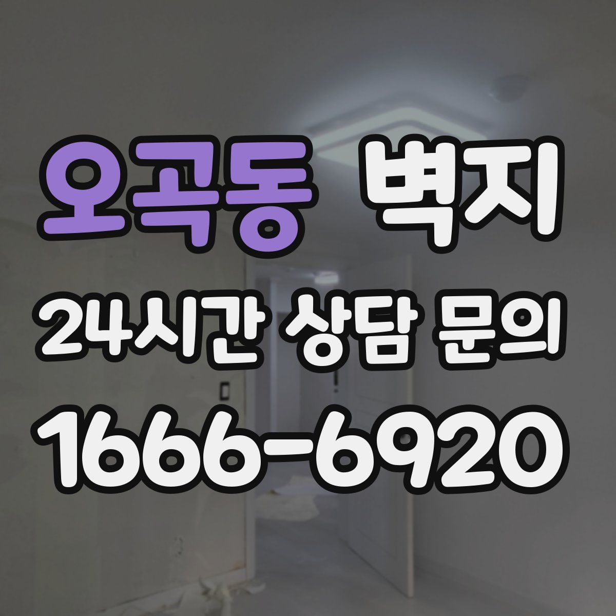 오곡동 벽지