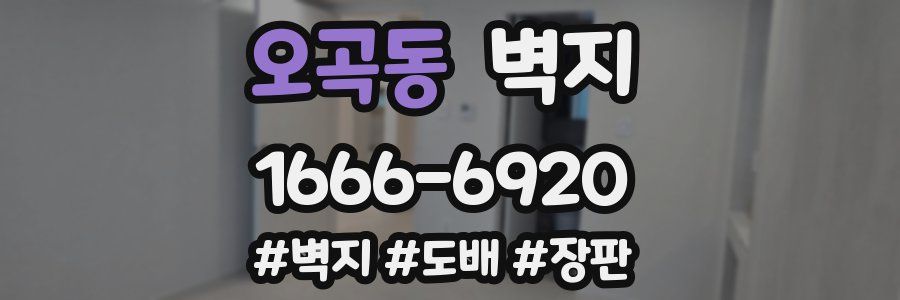 오곡동 벽지