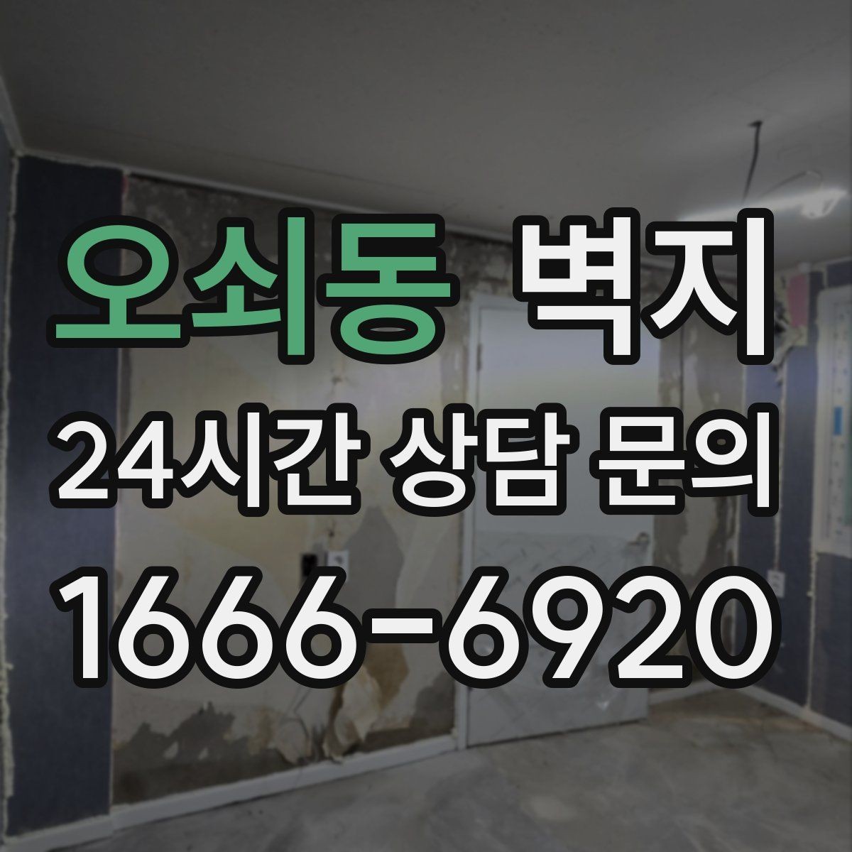 오쇠동 벽지 시공 후 관리가 중요한 이유