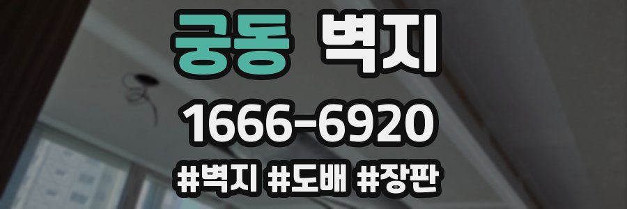 궁동 벽지