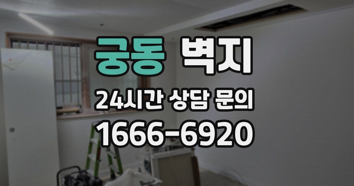 궁동 벽지