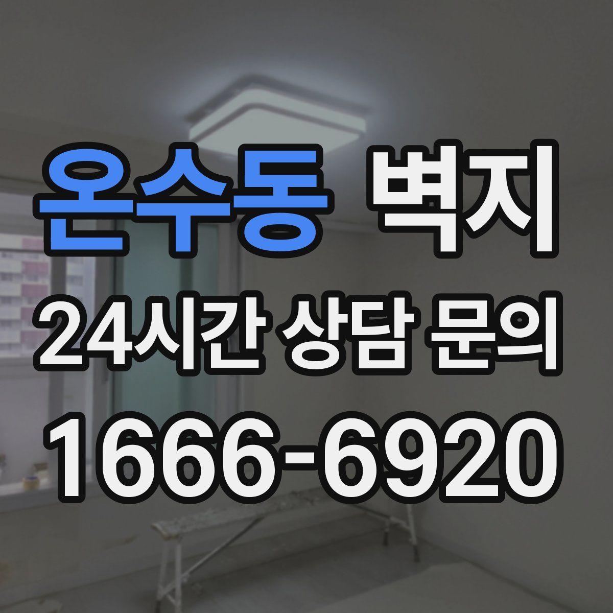 온수동 벽지